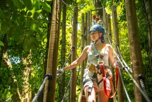 Cairns: Daintree Rainforest Canopy Ziplining Tour