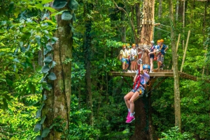 Cairns: Daintree Rainforest Canopy Ziplining Tour