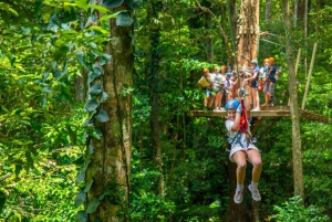 Cairns: Daintree Rainforest Canopy Ziplining Tour