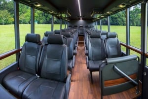 Cairns : Excursion d'une journée dans la forêt tropicale de Daintree et à Cape Tribulation