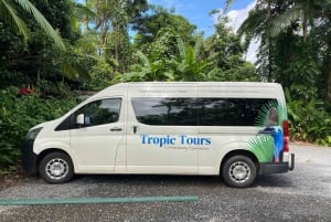 Cairns: Daintree River Cruise and Mossman Gorge