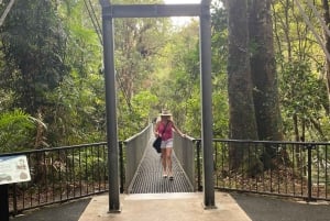 Cairns: Daintree River Cruise and Mossman Gorge