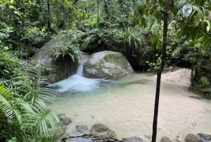 Cairns: Daintree River Cruise and Mossman Gorge