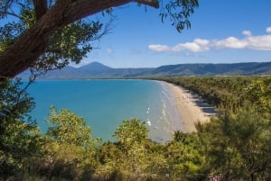 Cairns: Daintree River Cruise and Mossman Gorge