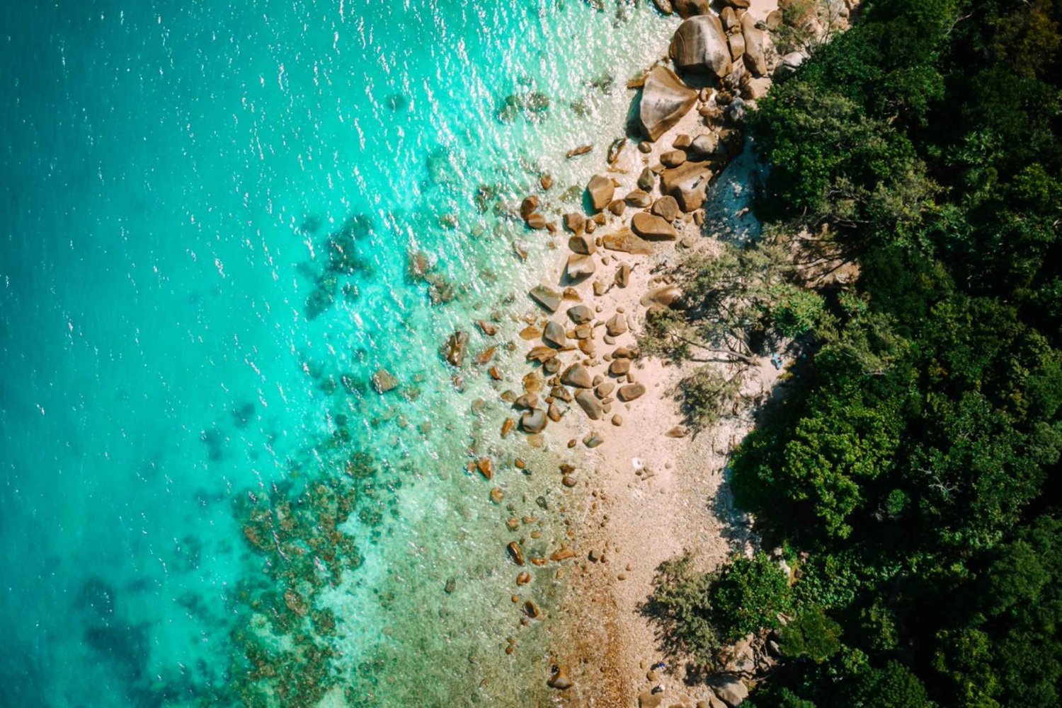 Cairns: Fitzroy Island Ferry, Buffet Lunch and Snorkelling