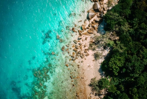 Cairns: Fitzroy Island-ferge, lunsjbuffé og snorkling