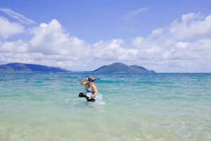 Cairns: Fitzroy Island-ferge, lunsjbuffé og snorkling