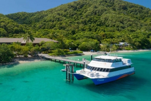 Cairns: Fitzroy Island-ferge, lunsjbuffé og snorkling