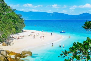 Cairns: Fitzroy Island-ferge, lunsjbuffé og snorkling