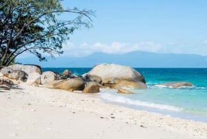 Cairns: Ferry a la Isla Fitzroy con snorkel y tour en barco