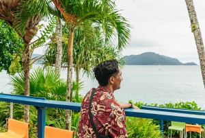 Cairns: Fitzroy Island halve dag met optionele extra's