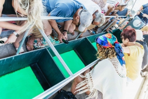Cairns: Fitzroy Island halve dag met optionele extra's