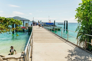 Cairns: Fitzroy Island halve dag met optionele extra's