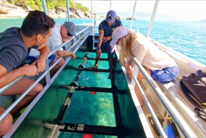 Cairns: Fitzroy Island halve dag met optionele extra's