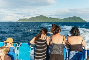 Cairns: Fitzroy Island halve dag met optionele extra's