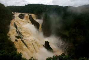 Cairns: Bos en watervallen halve dag 4WD avontuur met gids