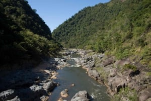 Cairns : Aventure guidée d'une demi-journée en 4x4 dans la forêt et les chutes d'eau