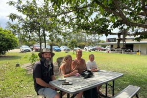 Cairns: Forest and Waterfalls Half-Day 4WD Guided Adventure