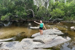 Cairns: Forest and Waterfalls Half-Day 4WD Guided Adventure
