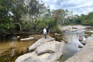 Cairns: Forest and Waterfalls Half-Day 4WD Guided Adventure