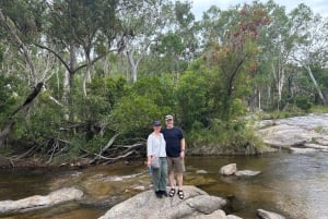 Cairns: Forest and Waterfalls Half-Day 4WD Guided Adventure