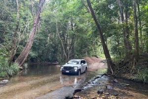 Cairns: Forest and Waterfalls Half-Day 4WD Guided Adventure