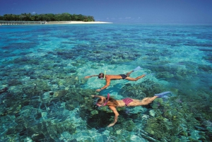 Cairns: Full-Day Glass Bottom Boat or Snorkel Tour