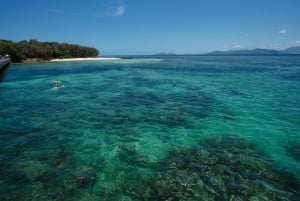 Cairns: Full-Day Glass Bottom Boat or Snorkel Tour