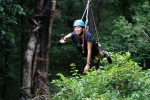 ケアンズジャイアントスイング