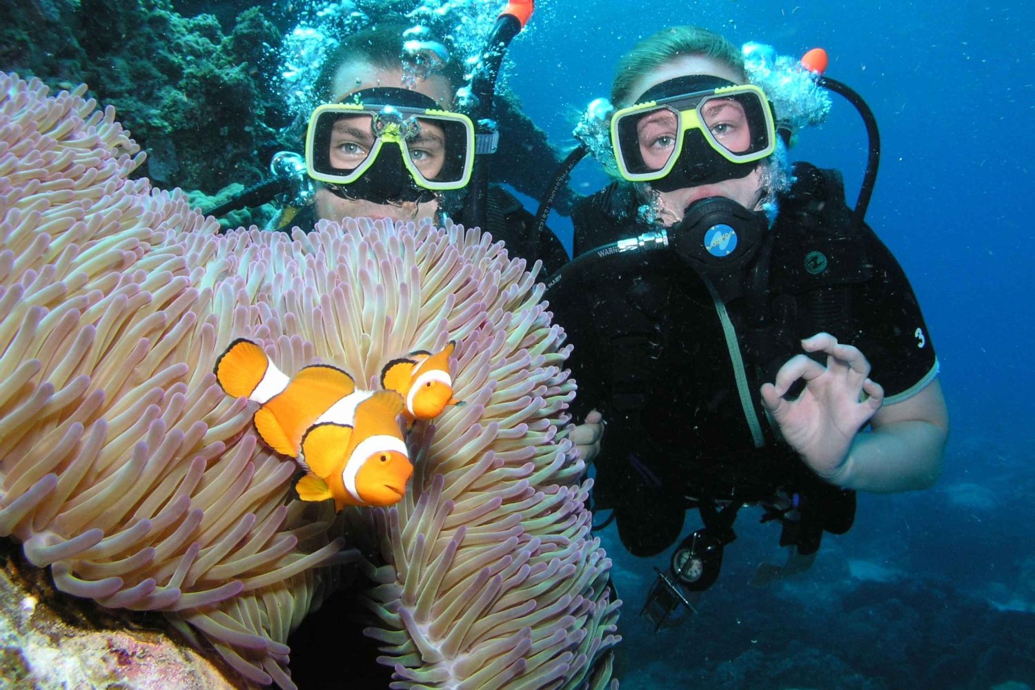 Cairns: Great Barrier Reef 3-Day Liveaboard Dive Trip