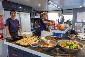 Cairns: Groot Barrièrerif 3-daagse liveaboard duiktrip