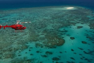 Cairns: Great Barrier Reef 30-minuters helikopterflygning