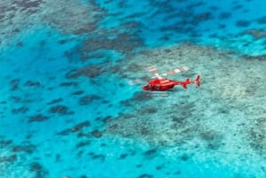 Cairns: Great Barrier Reef 30-minuters helikopterflygning