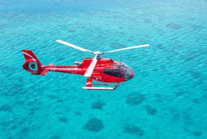 Cairns: Great Barrier Reef 30-Minute Helicopter Flight