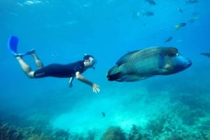 Cairns: Great Barrier Reef risteily vesiaktiviteetteineen.