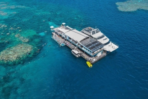 Da Cairns: Grande barriera corallina e attività acquatiche
