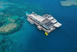 Cairns: Great Barrier Reef risteily vesiaktiviteetteineen.