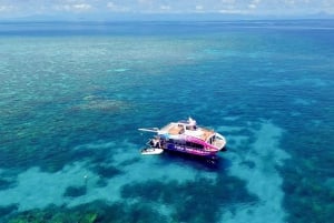 Cairns: Halvdags snorkling på Great Barrier Reef