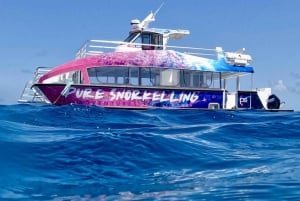 Cairns: Halvdags snorkling på Great Barrier Reef