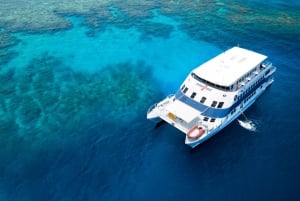 Cairns: Great Barrier Reef Overnight Snorkeling Boat Trip