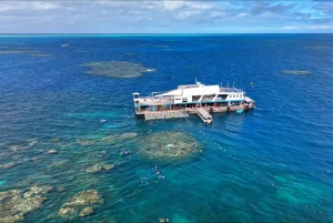 Cairns: Great Barrier Reef Pontoon - Forkælelsespakke