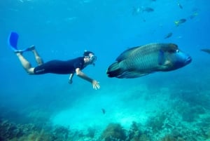 Cairns : Ponton de la Grande Barrière de Corail avec activités nautiques