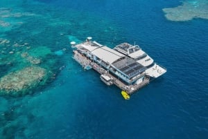 Cairns : Ponton de la Grande Barrière de Corail avec activités nautiques