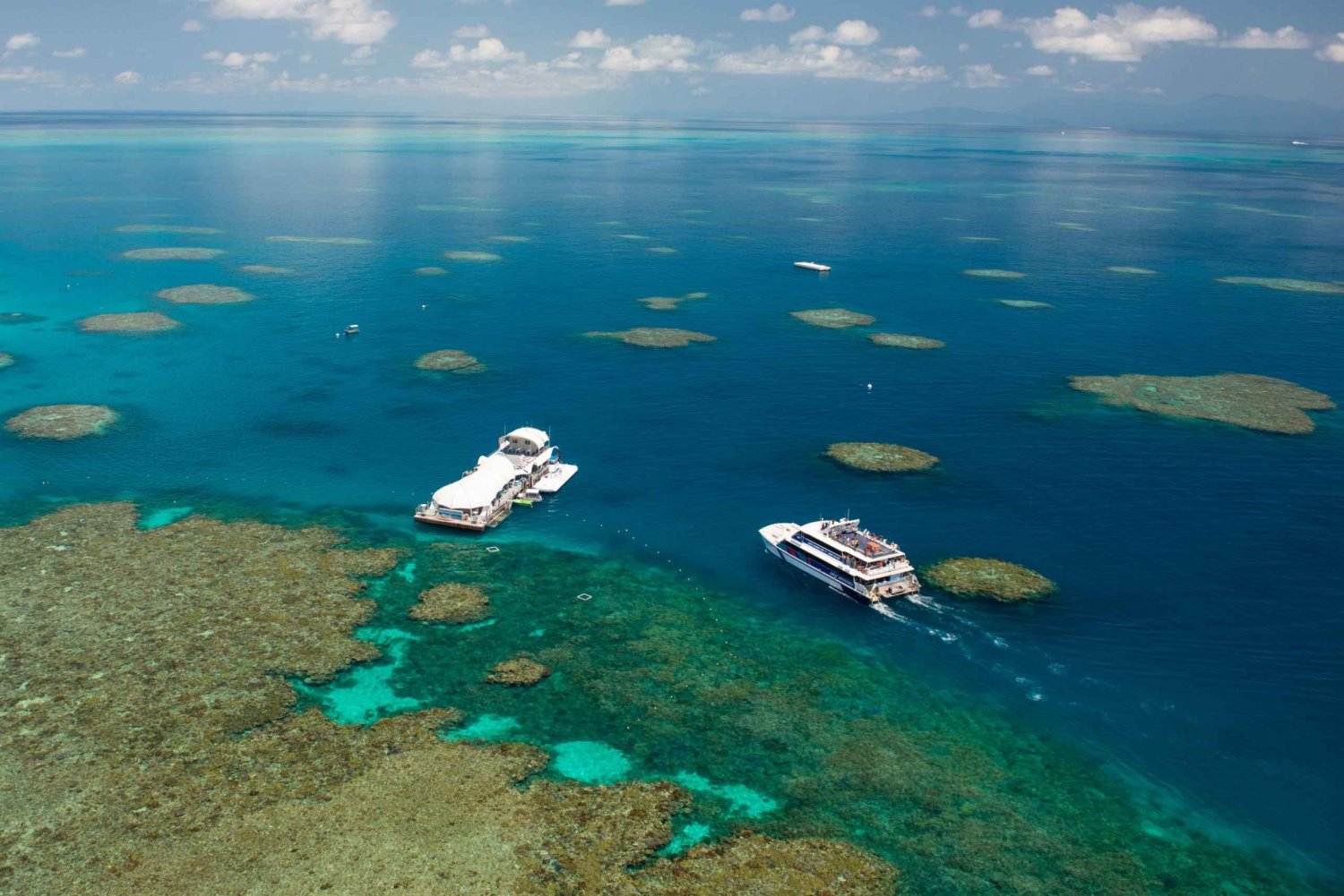 Cairns: Great Barrier Reef Semi-Submarine Catamaran Tour
