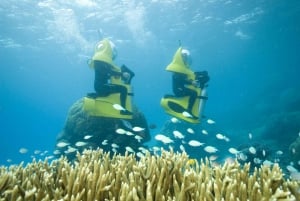Cairns: Great Barrier Reef Semi-Submarine Catamaran Tour
