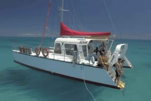 Cairns: Snorkeltur på Great Barrier Reef med frokost