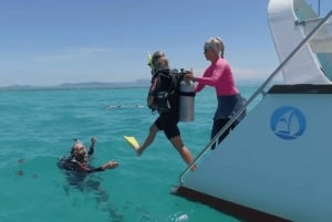 Cairns: Snorkeltur på Great Barrier Reef med frokost