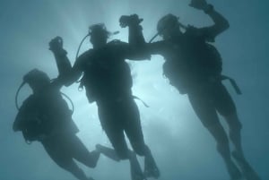 Cairns: Snorkeltur på Great Barrier Reef med frokost