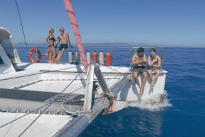 Cairns: Snorkeltur på Great Barrier Reef med frokost