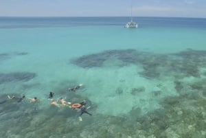 Cairns: Snorkeltur på Great Barrier Reef med frokost